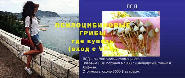 эйфоретик Арсеньев