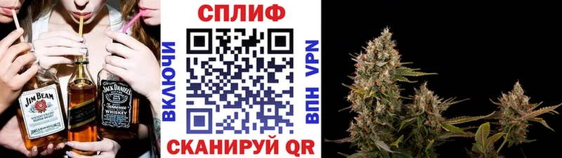 Канабис планчик  мега ссылки  Луза 